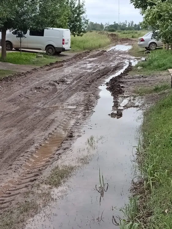 d83f5eb3-daba-48de-b71f-475023fac1f4