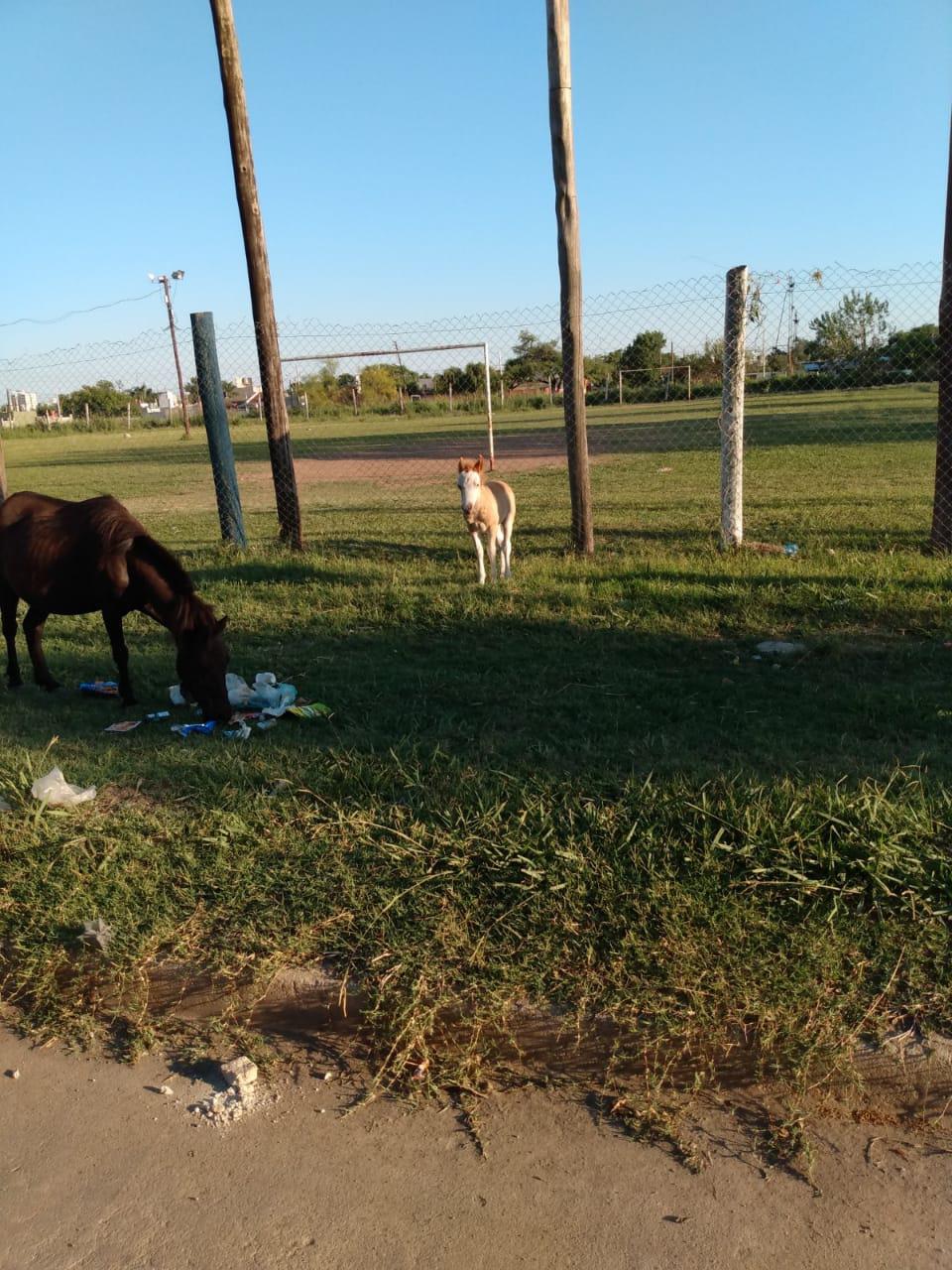 cf567504-a3f4-4561-ac9d-bed42ec94014