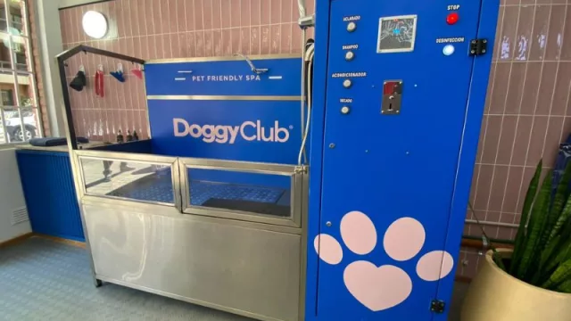 perrrossssssssssssssssssssssssssssssssssssssssssss