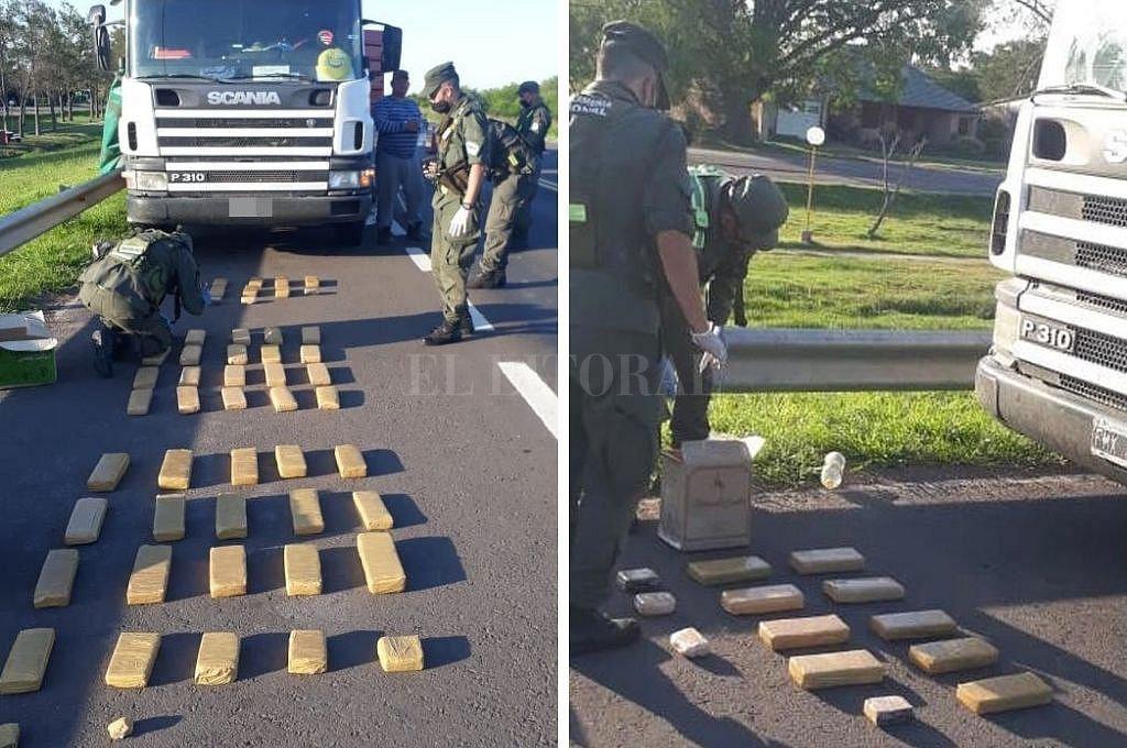 Drogras Gato Colorado-Rafaela