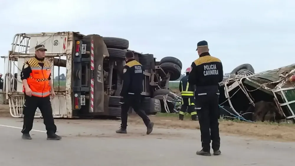 CAMIONEROOOOOOOOOOOOOOOOOOOOOOOOOOOOOOOO