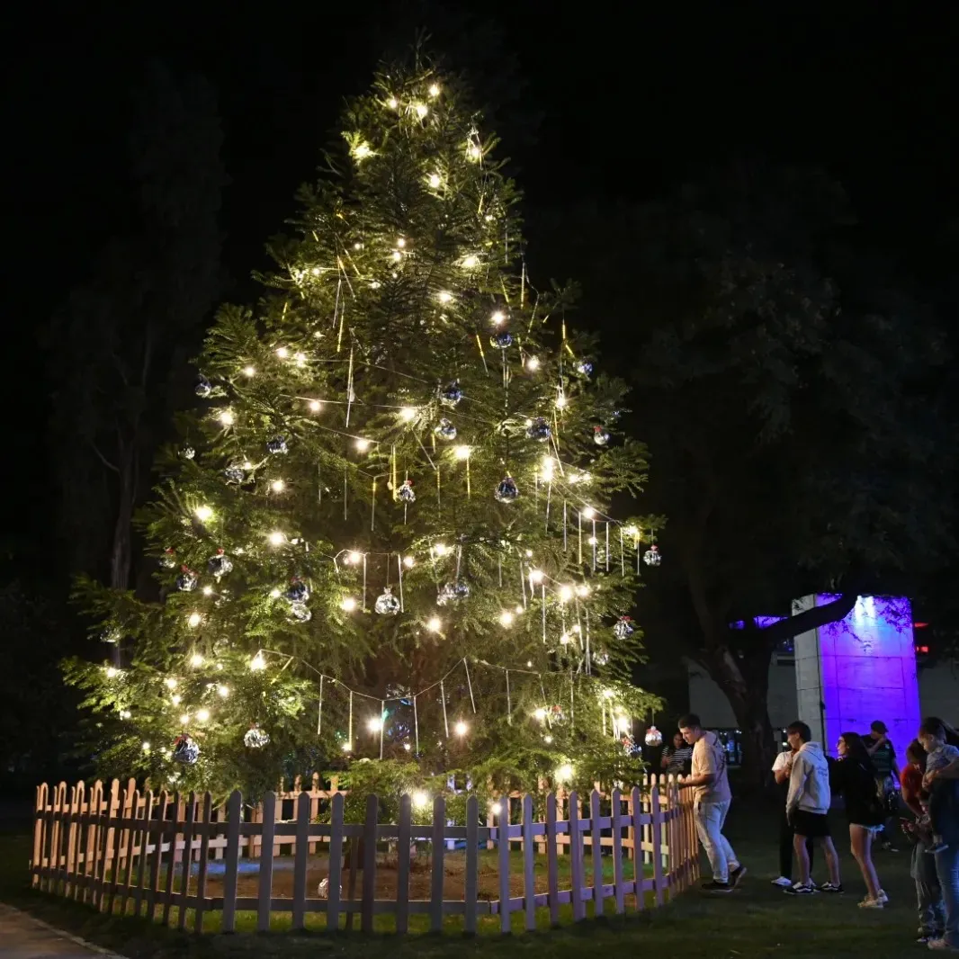 469750320_981776577317605_7964942384723508886_n