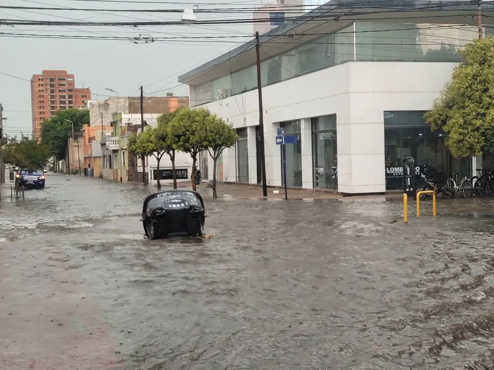 196546_1734035569_798