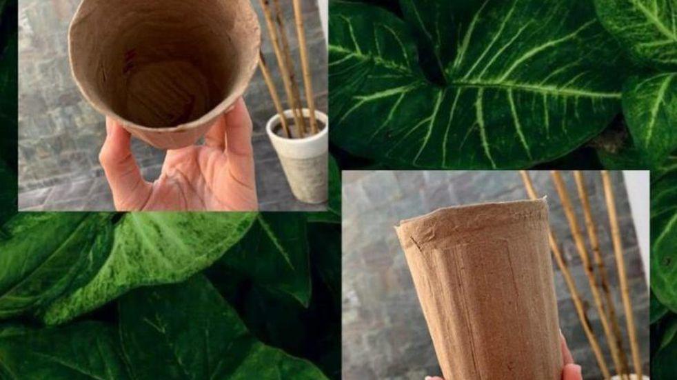 GVRDEN3CMU2TQZBWGEYWCZBZMU