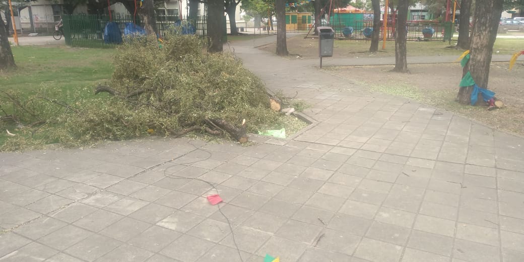 060e0974-bc5e-4ab3-b2f7-80d9c4b7160f