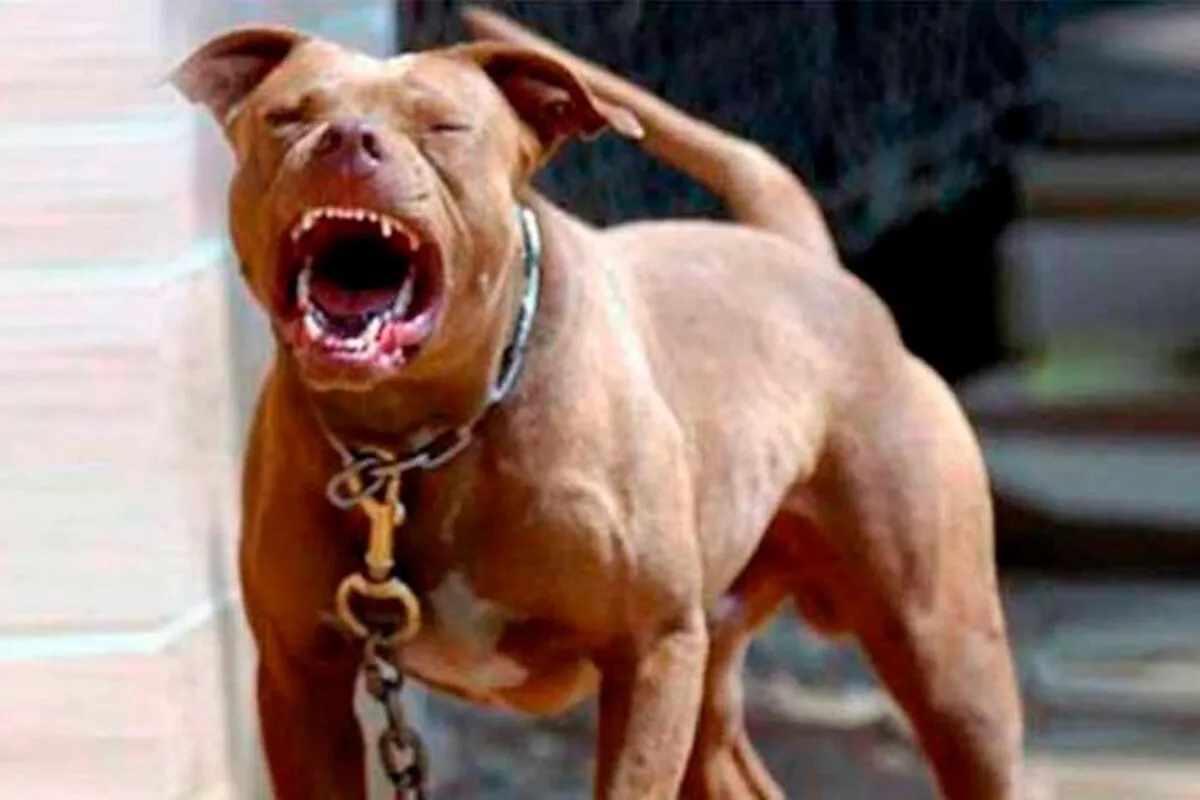 755195-whatsapp-20image-202023-08-07-20at-2012-53-00