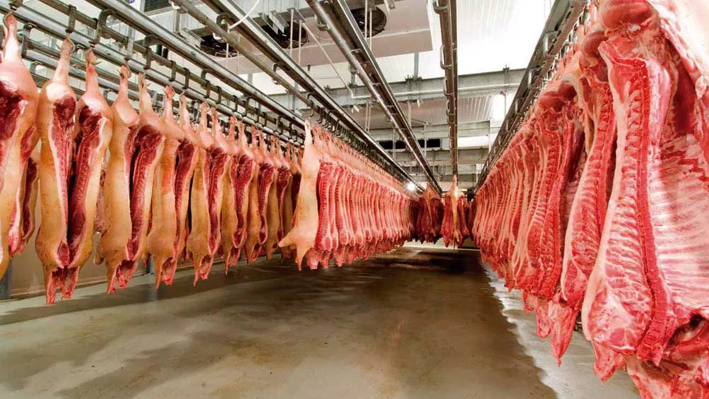 cerdo exportación