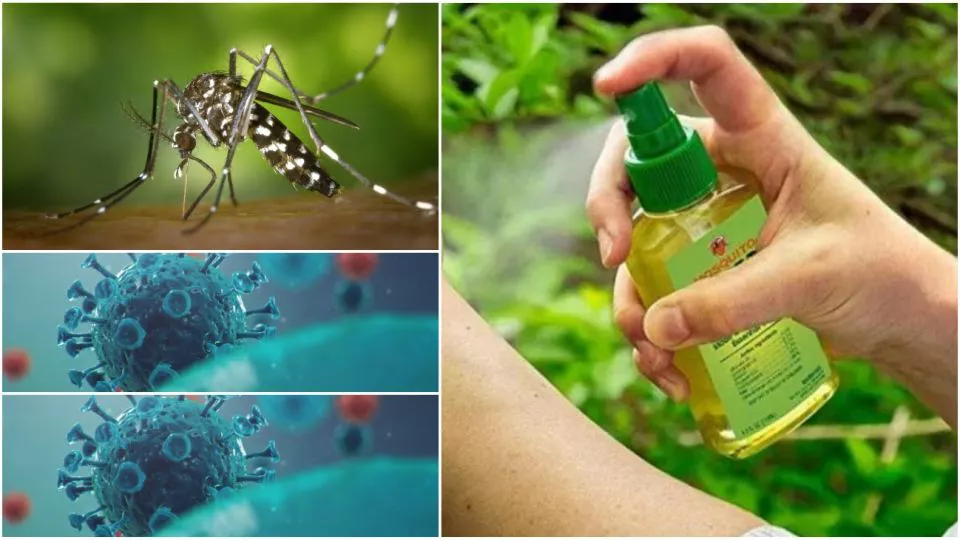 2808repelentecoronavirus-1008149