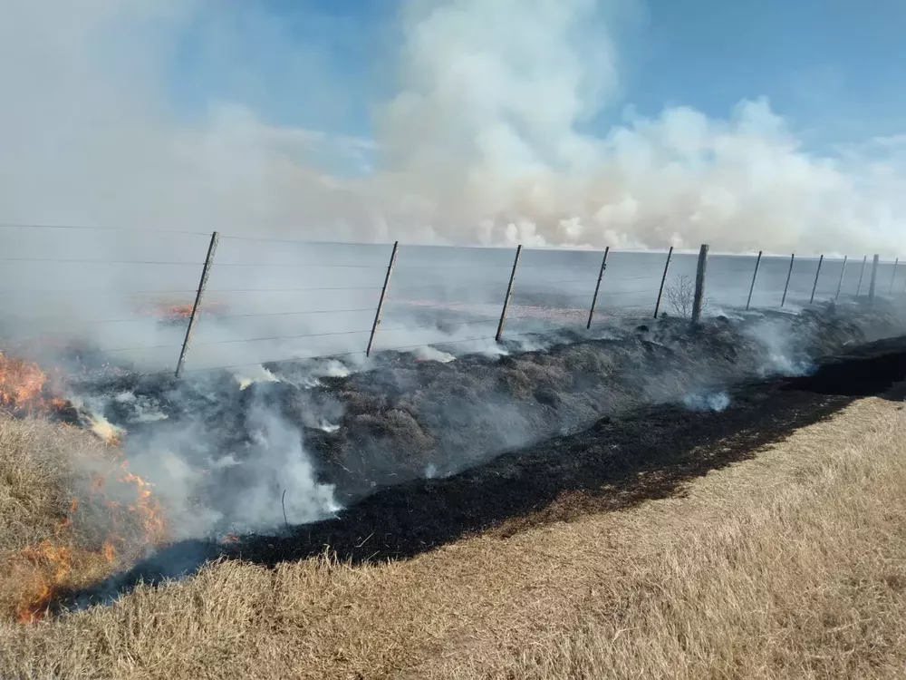 INCENDIOOOOOOOOOOOOOOOOOOOOOOOOOOOOOOOOOOOOOO