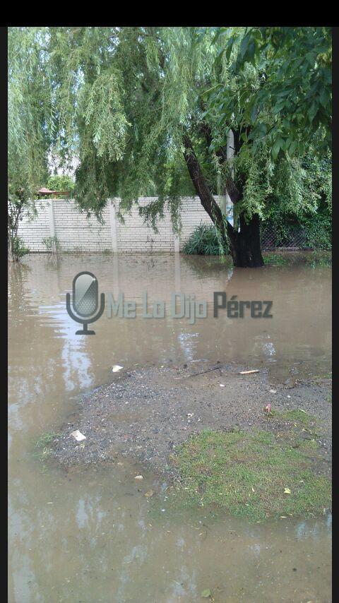 WhatsApp Image 2017-01-31 at 10.19.28 AM