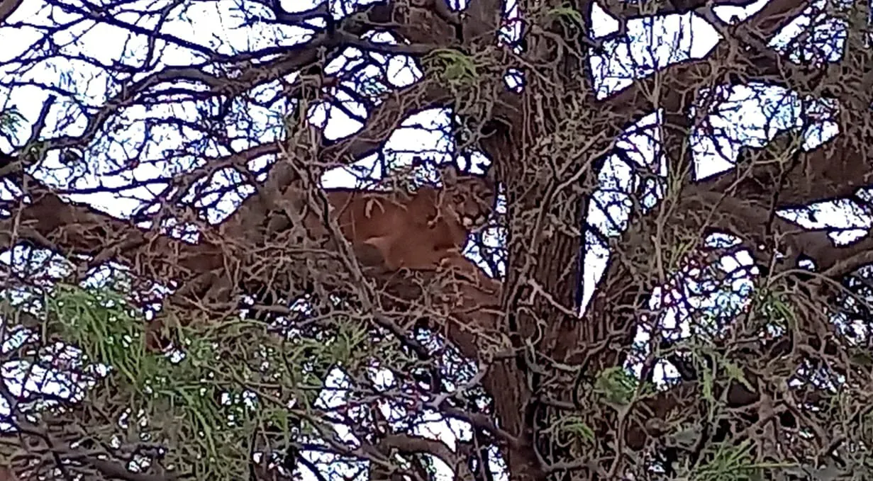 WhatsApp Image 2023-10-04 at 16.40.54