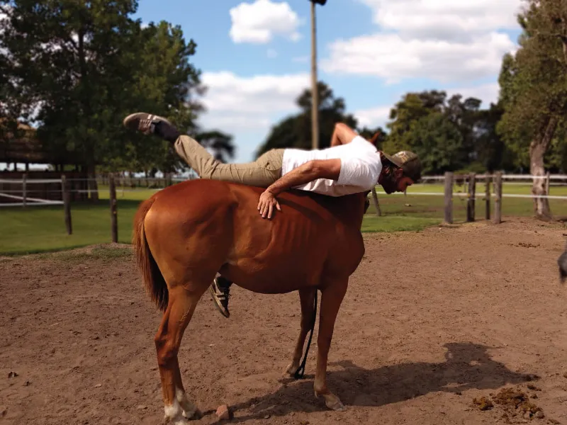 doma-racional-equus-argentina-5