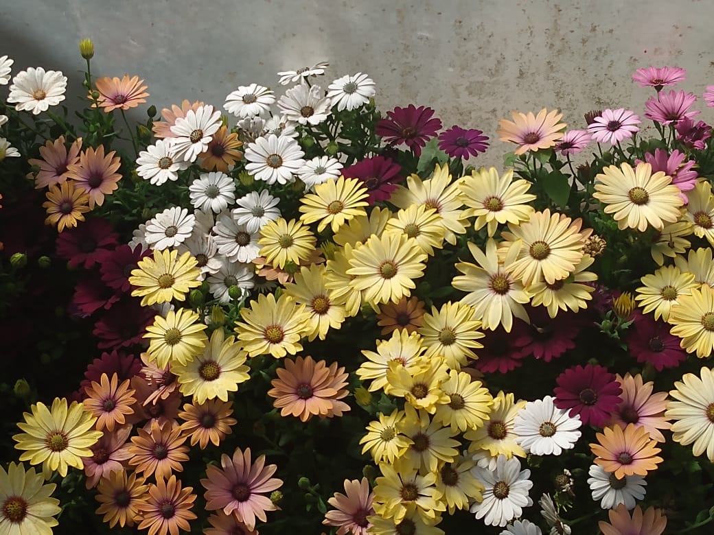 a3af523c-a9f0-40bb-a3c2-db0f42bcffda