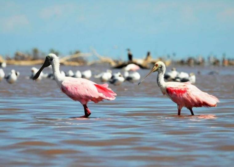 a59a8-4cfd70fa-9454-4151-8ac3-6e3f06ee018d