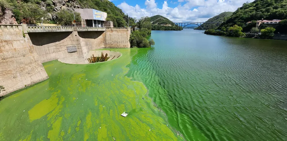 lago