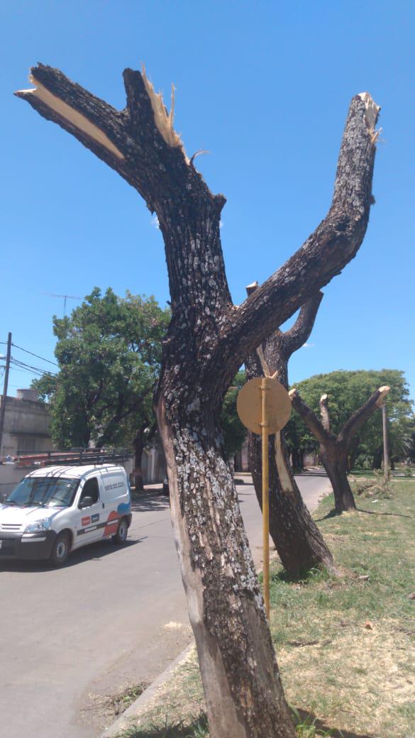 c5f5a862-bd4d-4c33-ba2b-b3530fd18993