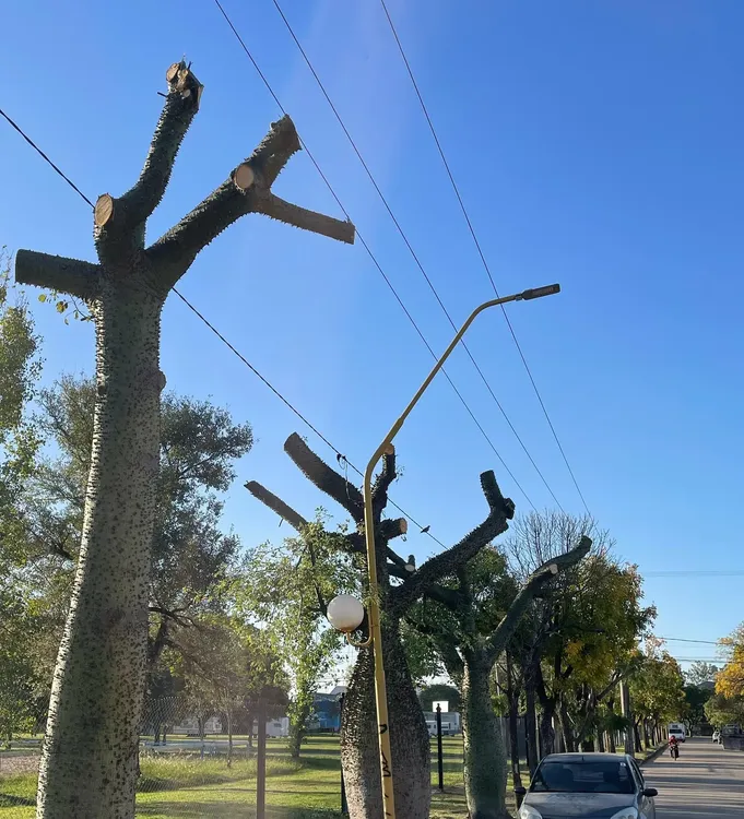 494652417_18504066433057698_851887124914012723_n