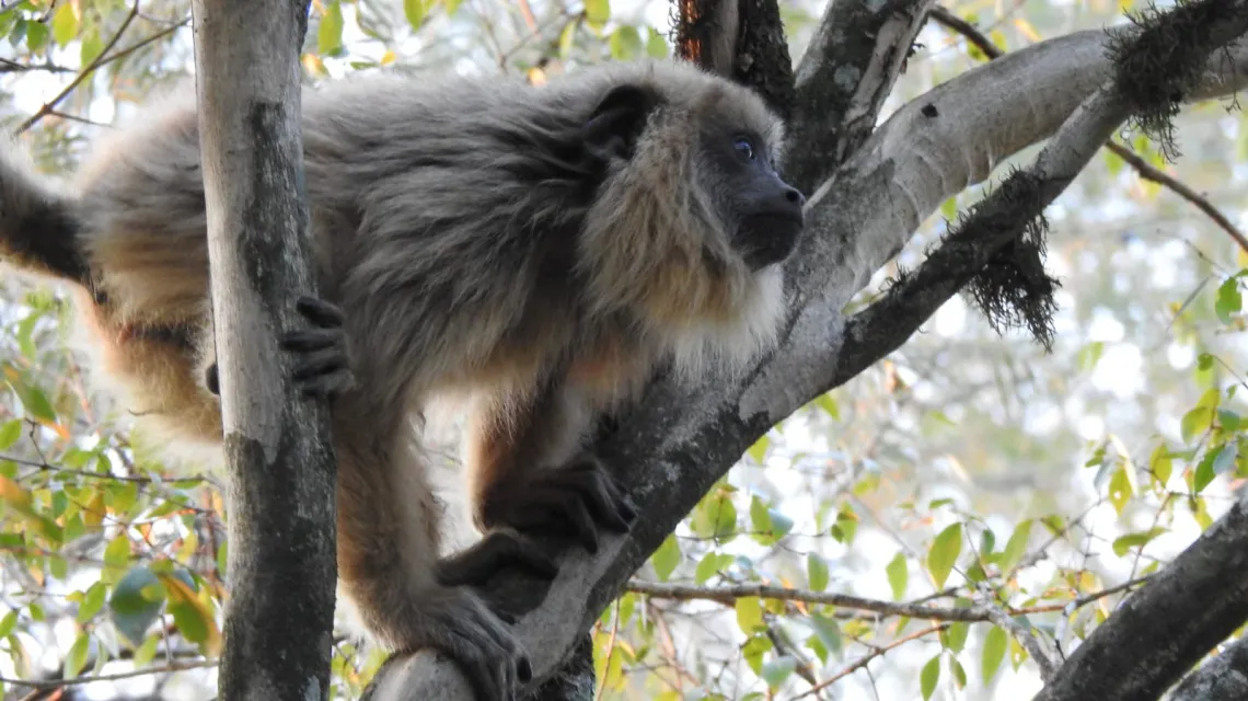 2023-09-21NID_279085O_1