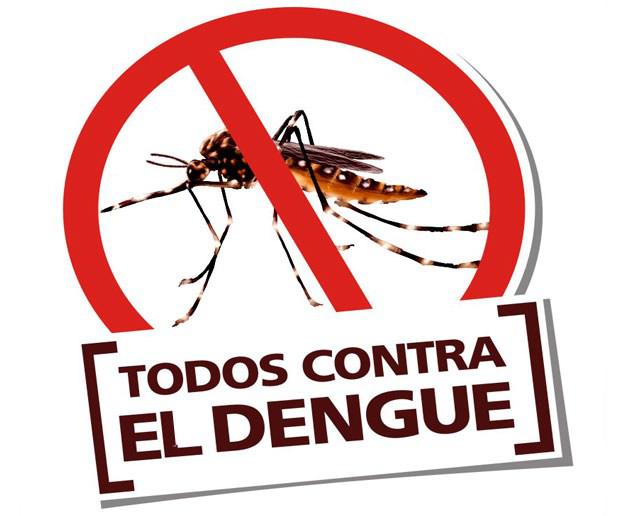 Día Internacional Contra El Dengue Piden Extremar Medidas De Prevención Ante Una Nueva Temporada 4521