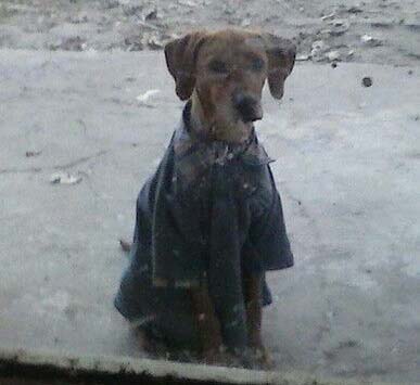 multimedia.normal.92675f5ed00ec551.39646162653930322d373566652d343263662d626337392d61616338663531335f6e6f726d616c2e6a7067