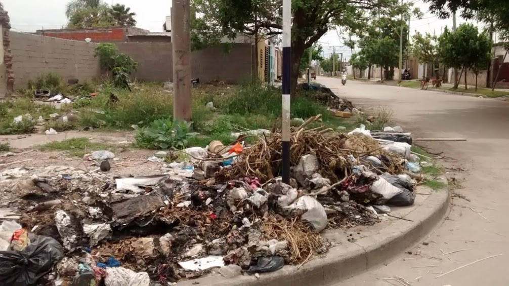 multimedia.normal.b78ad39a3551e9b6.62617375726120335f6e6f726d616c2e6a7067