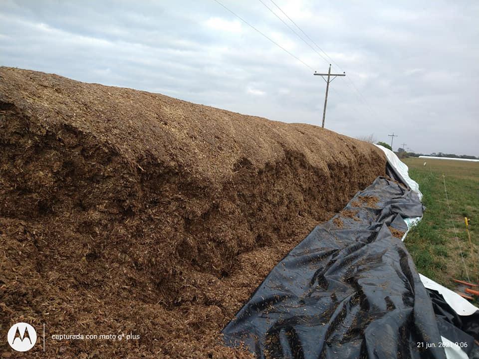 204742680_2213387382134171_1930941304711816670_n