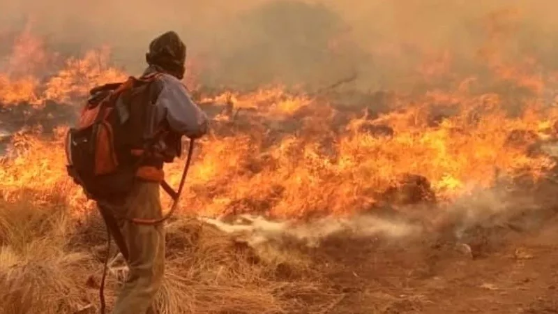 incendio_cordoba.jpg_1756841869