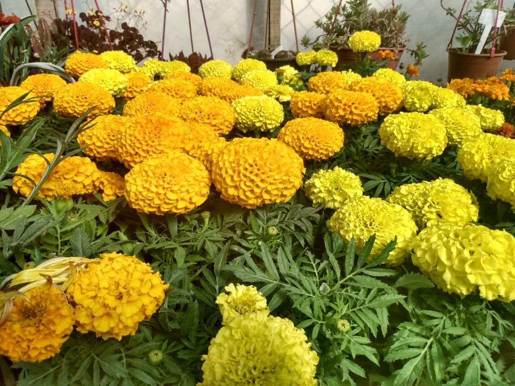 70d6495f-d195-48c0-9e11-4b7602ea42e1