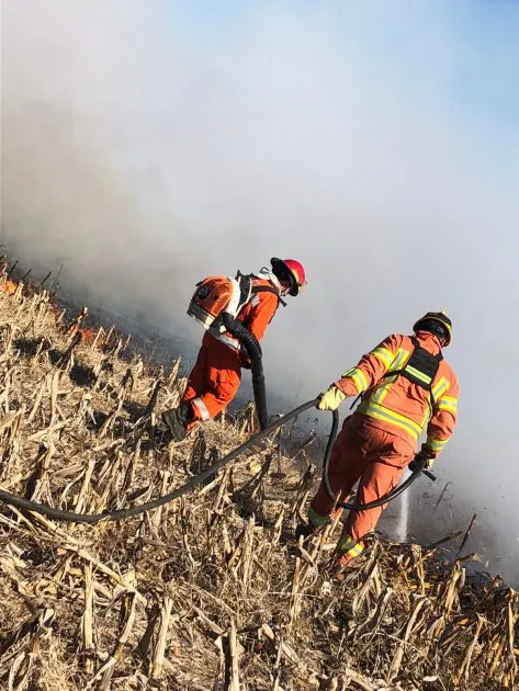 IMG-20220717-WA0056-473x630