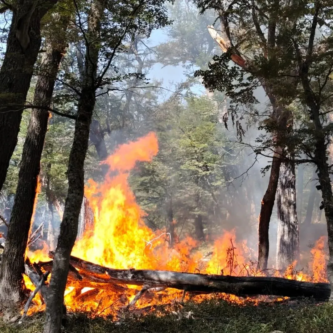 FB_IMG_1770582557639