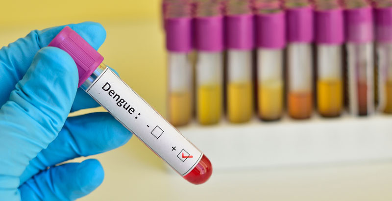 dengue