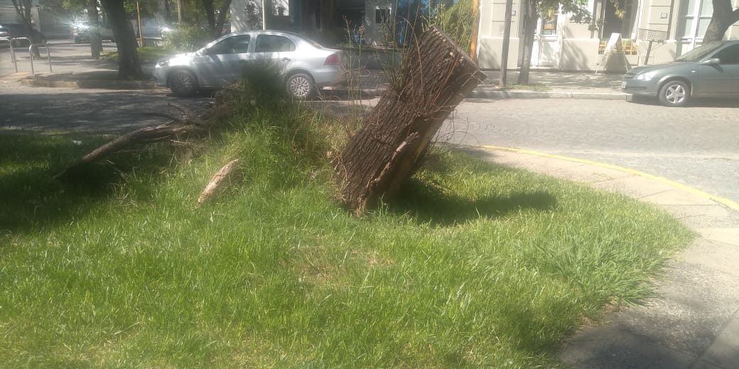 5651241c-730d-4da1-8954-3e4fe21e9f35