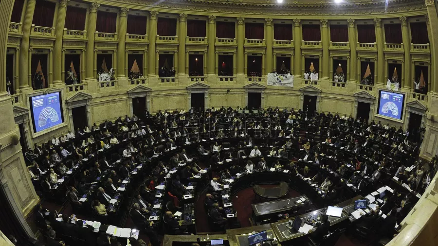 senado