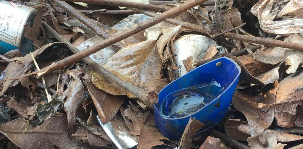 2024-10-18-UNCiencia-abordaje-prevencion-de-dengue-con-escuelas-01-1920-1920x944-c-default