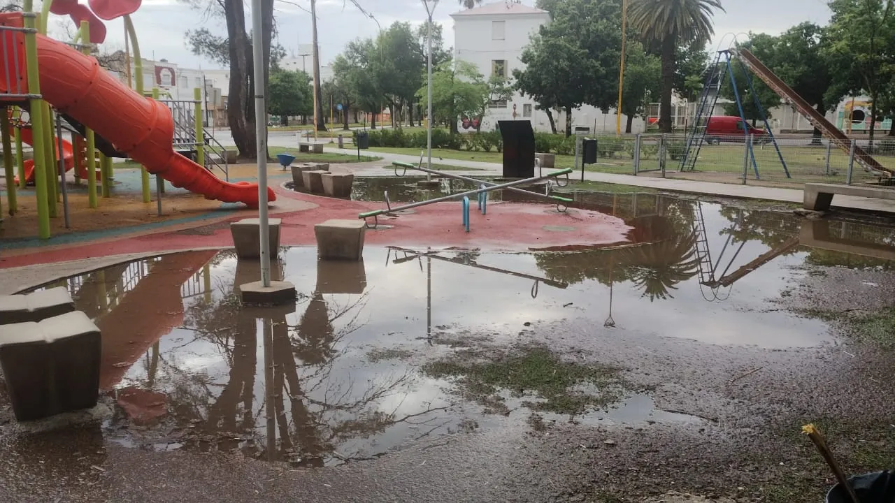 6cd488ad-cfad-4a1b-942a-5110cda13996