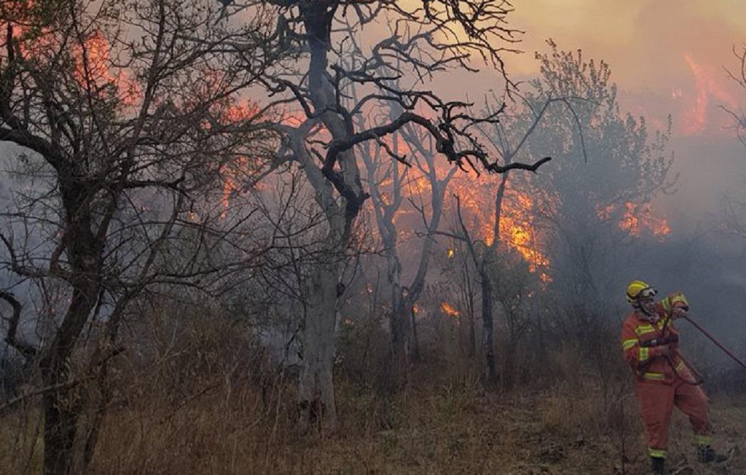 multimedia.normal.970d2f04a2c48e63.696e63656e64696f20656e206c612070617a206d696e736567757269646164635f6e6f726d616c2e6a7067