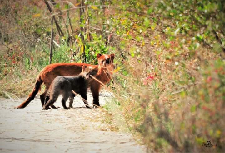 FB_IMG_1601407758093