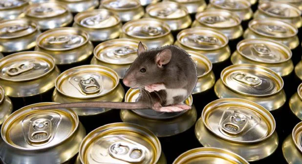 b62b7076-7ea1-4920-8743-63d95976ad2b