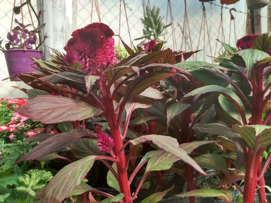 9a24634d-d47f-4a5b-b100-fee96dcb481b