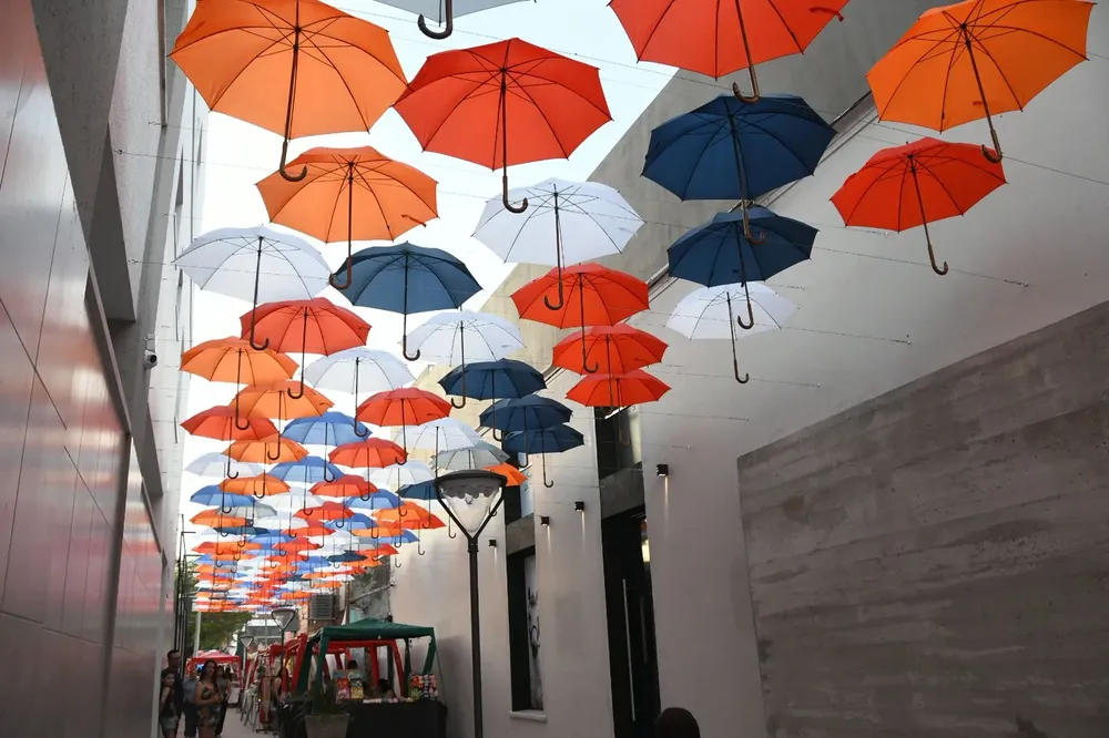 WhatsApp Image 2026-01-28 at 08.52.22