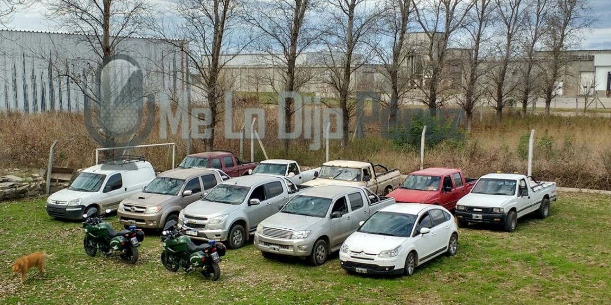Camionetas incautadas en los allanamientos por carne podrida con sulfito.