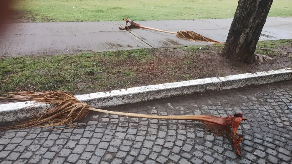 24bfb4df-1614-4134-8531-5522c3f22ced