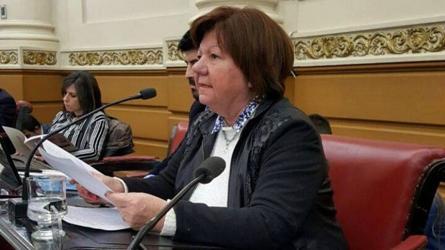Legisladora GracielaBrarda