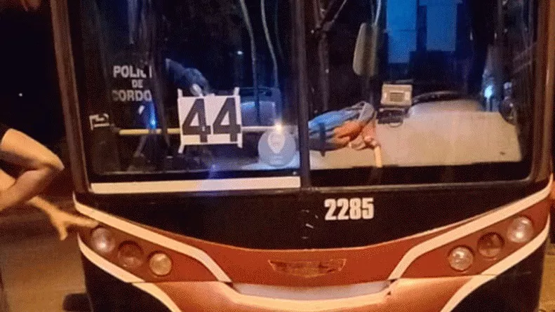 colectivo menor esra