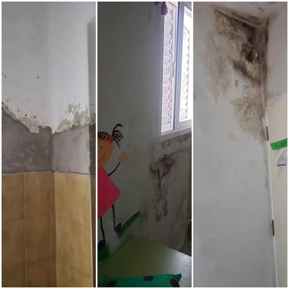 244770208_942480446369350_3356736425932047311_n