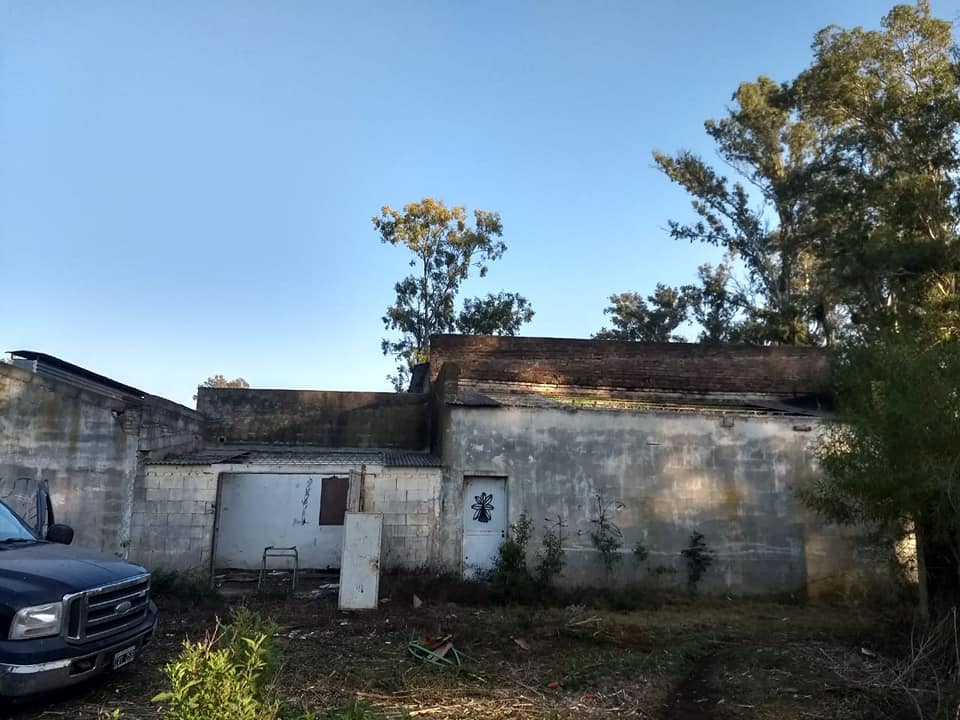 36340027_10214380331329355_5227263782379585536_n