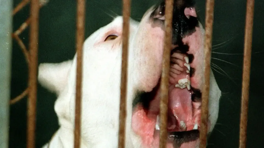 actualidad_260985082_53551255_1706x960