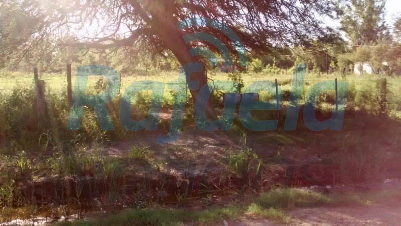 01d9b627e989918856180cb03bc6669a