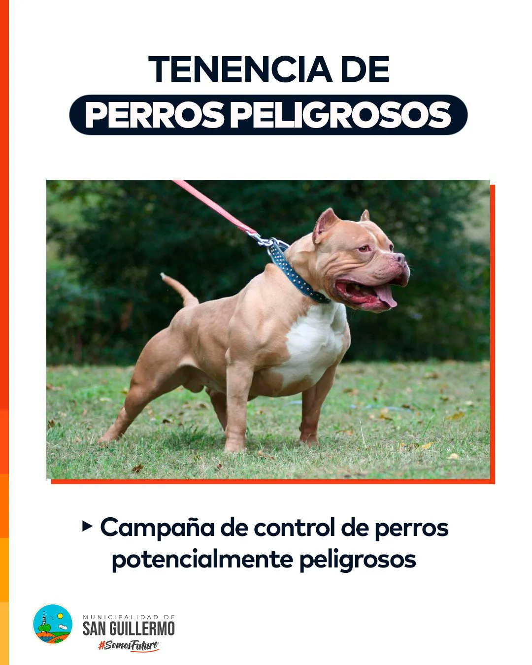 373640155_679962354160261_2437466057733716283_n