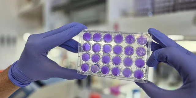 ciencia